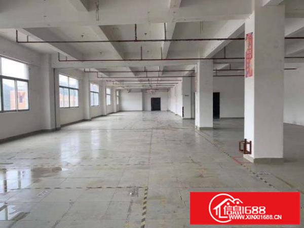 横岗六约原房东66平方到500平方大小面积分租包简单装修