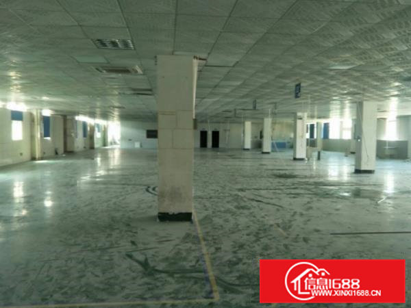 横沥独院三层厂房5000平米，宿舍按需配