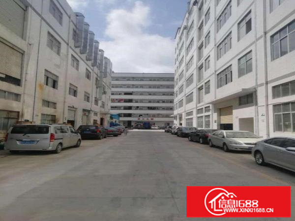 带消防喷淋办公室浸校塘标准厂房出租楼上1050平价格便宜