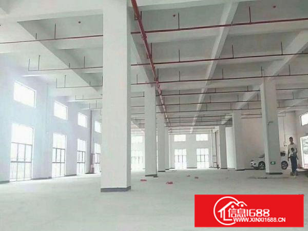 大岭山石大路边厂房22000平米可分租