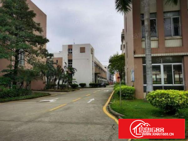 长安镇沙头红本独院厂房42000平方低价出租，可分租