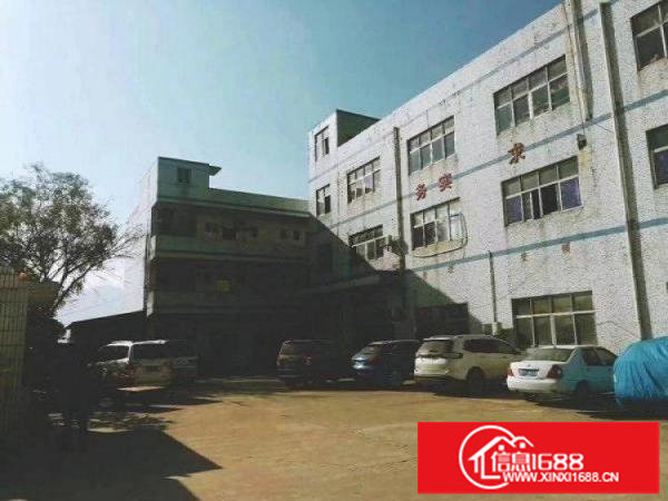 新坪山带精装原房东无公摊低价出租