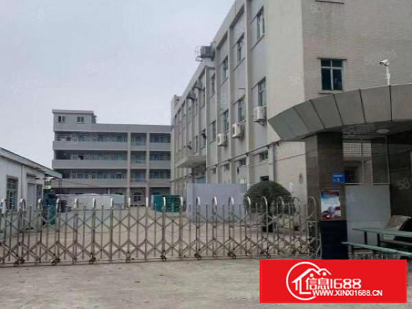 原房东独院分租2楼一整层1500平方