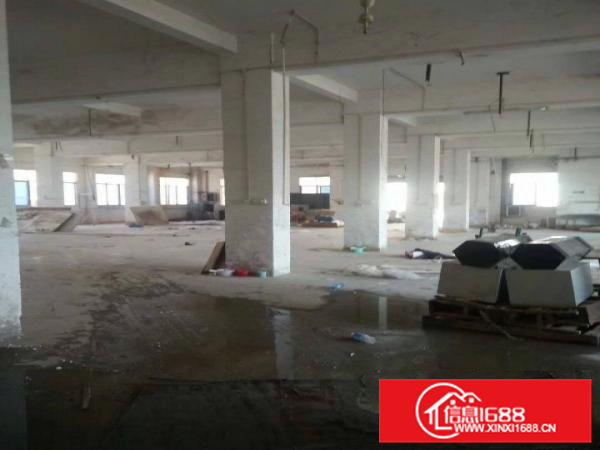 潼侨新华大道边独院厂房出租