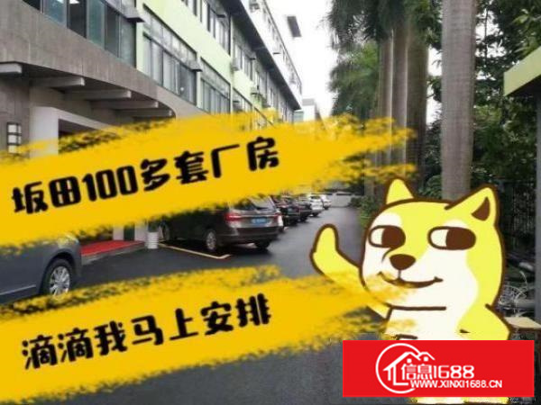 厂房办公坂田100多套厂房私聊我马上为您安排