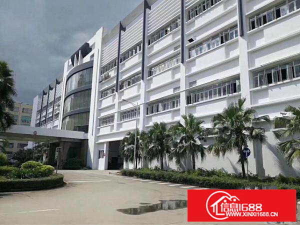 坂田路口250平方到350平方