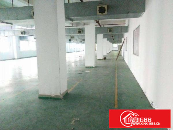 好房不等人，出租2楼1800平方，只要13块