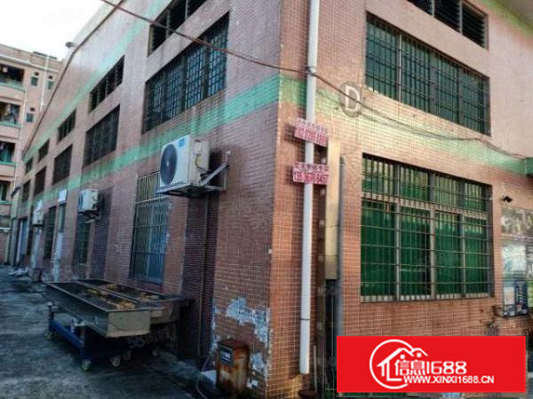 交通便利高埗镇振兴路单一层厂房800平方