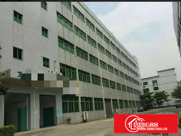 塘厦原房东独门独院2800平厂房带消防喷淋无公摊