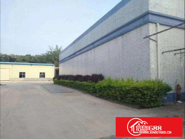 坑梓新出独院砖墙钢构3000平米，带隔热，滴水7米。