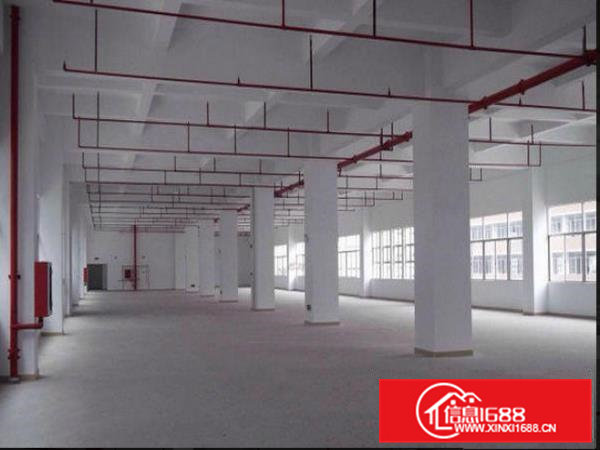 凤岗6.5米高一楼1500厂房出租做塑胶机械五金