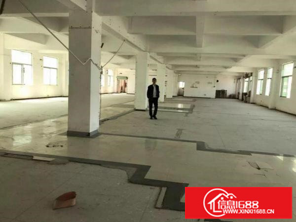 横岗高新厂房4800平米出租每层1600平米