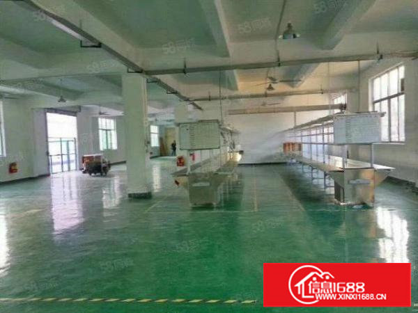 塘厦龙背岭独院2楼新空出400平带电梯标准厂房出租，现成装修