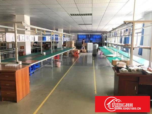 坪山碧岭水官高速口一楼厂房1000平方带装修出租