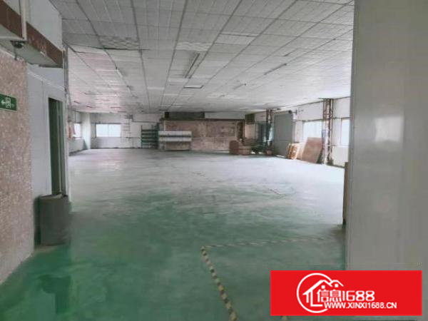 新出实际面积出租500平方寮步石龙坑