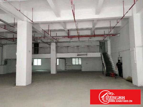 西乡九围或簕竹角附近带阁楼装修一楼厂房450平米