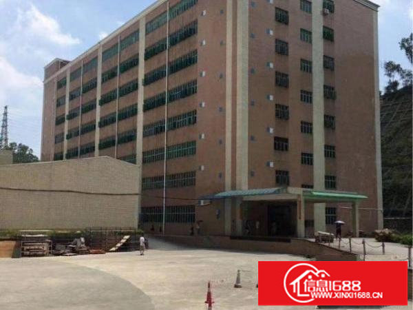 丹竹头地铁站每层2133平方厂房仓库招租分租