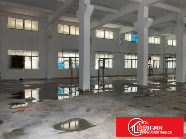 龙华大浪一楼1500平楼层高厂房出租