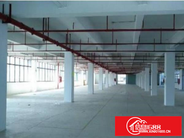 坪山大工业区楼上1800平招租有红本可申请补贴