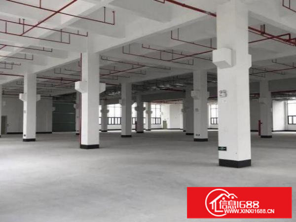 东坑标准一楼3000方，带牛角消防喷淋，大小分租