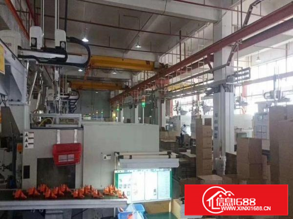 上沙新出一楼2186平方，高端红本厂房出租