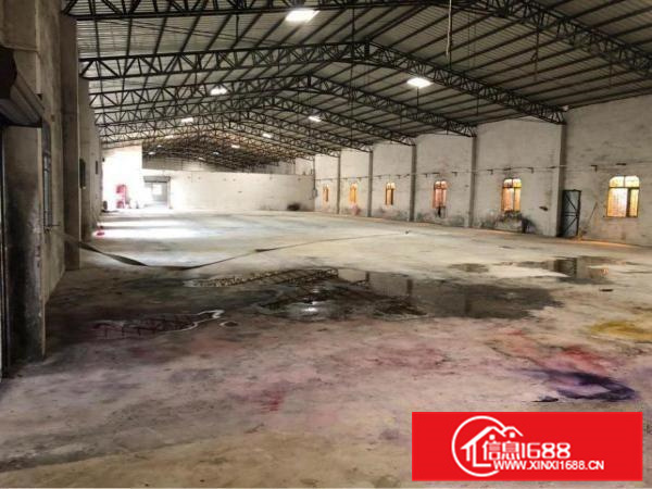 石湾镇原房东精典单一层独门独院出租