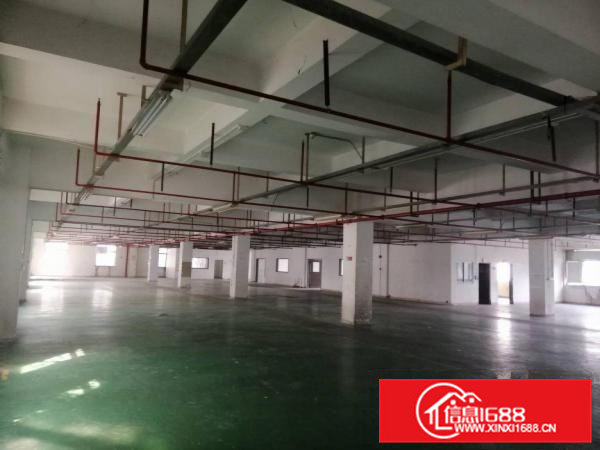 桥头镇石水口工业区内原房东标准厂房，可分租，工业用地可办环评