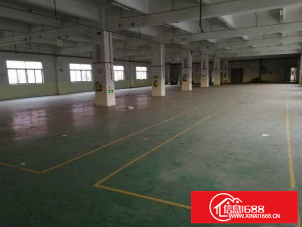 风岗独院4800平方出租