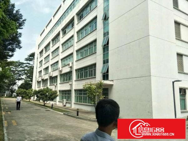 龙岗宝龙新出楼上2100平带装修厂房出租