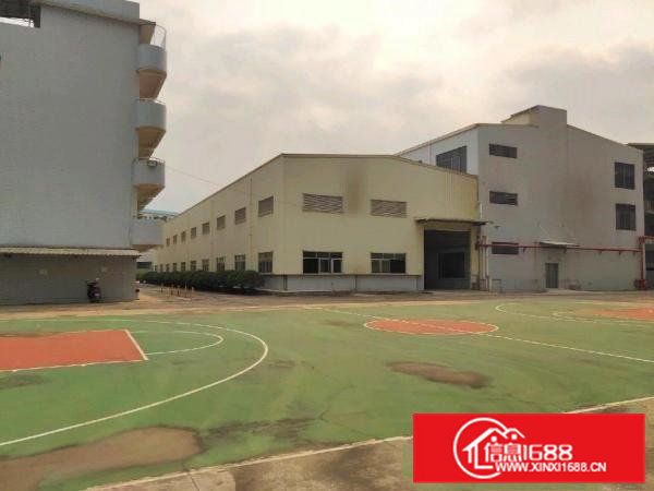 房东直租300至4000平方大小分租