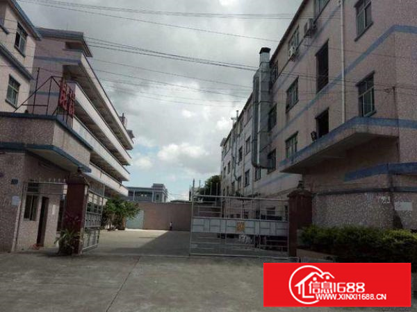 大亚湾西区标准厂房一楼1260平方带办公室出租