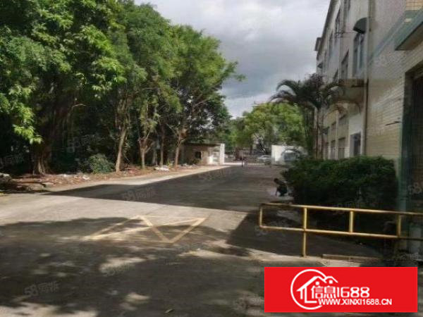 200平起分租观澜库坑独门独院12600平合同6年主线到车间