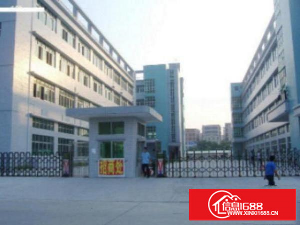 高埗工业区标准一楼1600平方招租水电齐全交通方便适合机械、