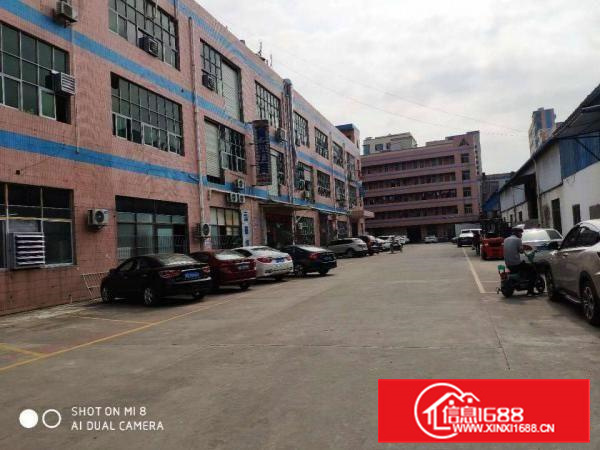 原房东（新出）长安乌沙新安大桥附近480平带装修厂房