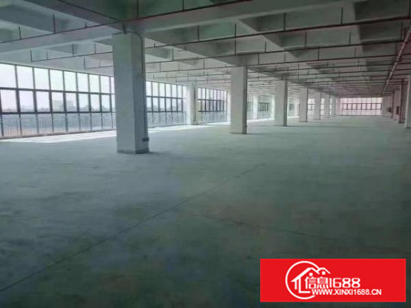 观澜工业区新出单层面积2000平方，大小200平方起分！