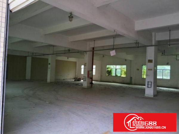 惠阳秋长1000平原房东我楼带装修厂房高6米空地大