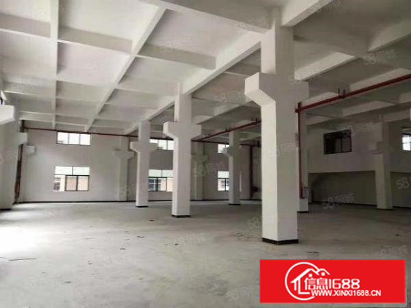 桥头稀有标准8米高一楼只租19块