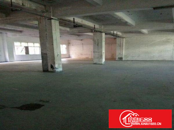 出租布吉长龙一楼厂房600平米