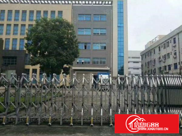 塘厦沙湖电商园厂房每层5500平方！适合电商！物流！贸易