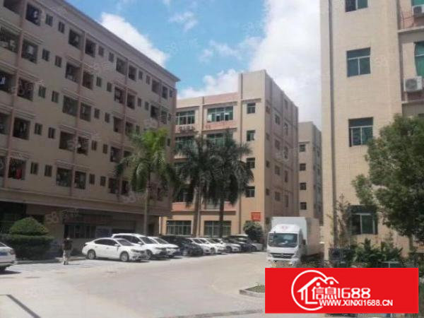 原业主直租办公仓库整层100平起分实用率高实图拍摄