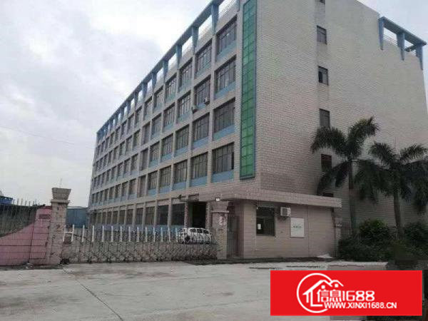 横沥标准厂房分组楼上1900平方出租，无尘车间，办公室豪华装