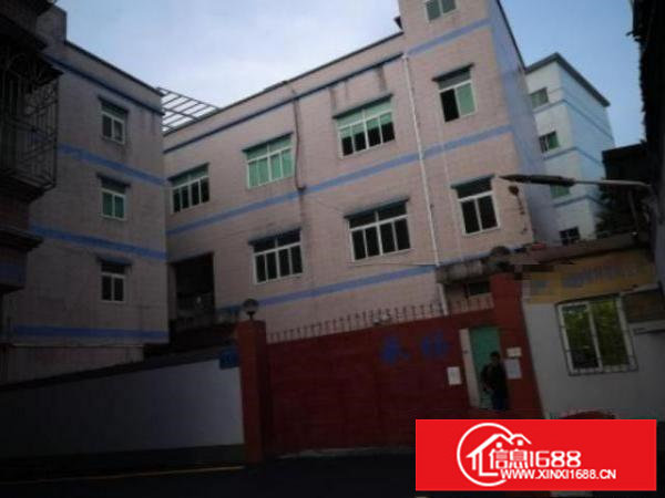 山水田园主干道旁带消防产权独门独院2栋厂房?1栋宿舍