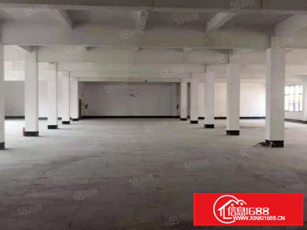 东莞万江厂房|1452平业主直租|采光好|近高速|周边环境好