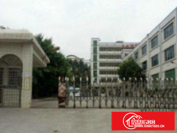 万江周边标准一楼870平方招租水电齐全