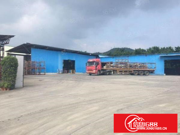 清溪九乡新空出原房东独门独院3000平超大空地可签2到8年