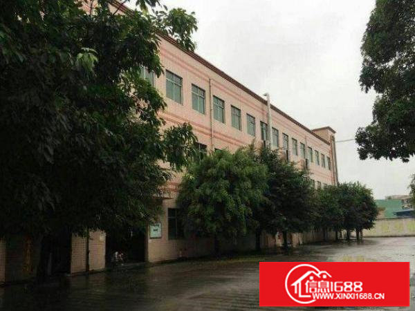 平湖新木村委一楼厂房500平方米超靓办公装修招租