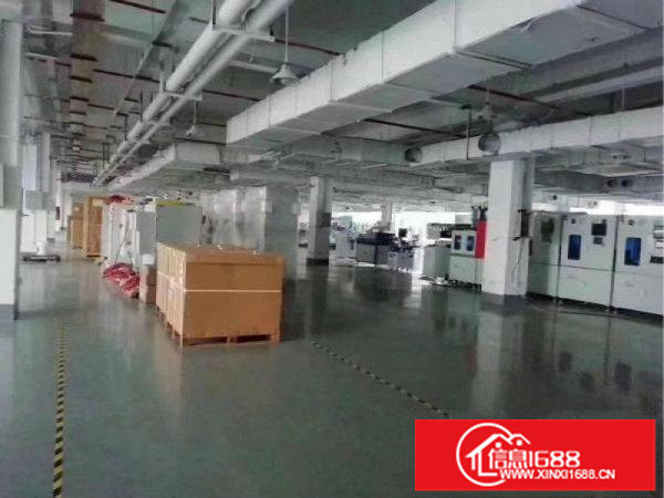 爱联吉祥新出原房东楼上厂房1600平出租面积实在大小分租