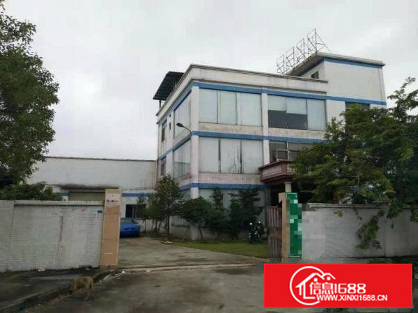 高埗独院单一层厂房1800平方带现成地坪漆出租