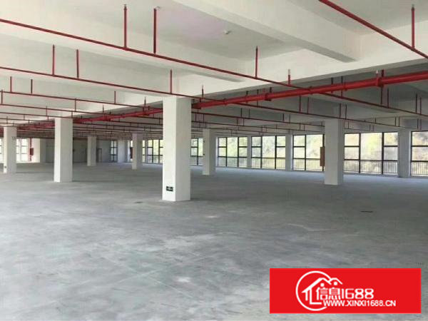 红本厂房新出整层1650平方米招租