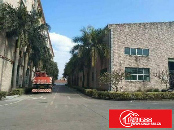 坑梓独院钢构3500平滴水10米带行车空地大可分